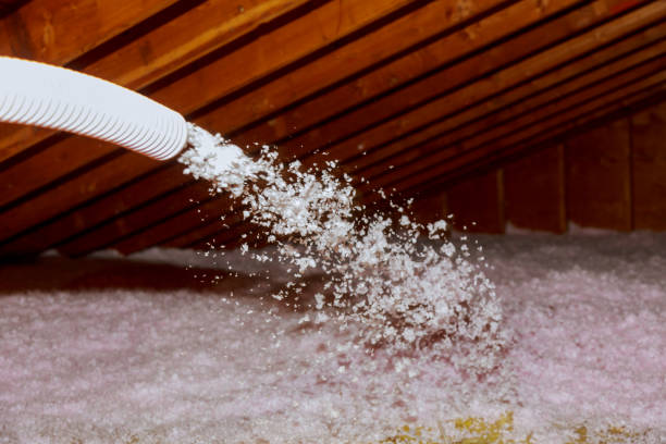 Best Insulation Removal  in University At Buffalo, NY